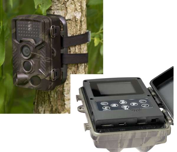 Wildkamera mit 8MP Bildsensor Nachtsicht MicroSD Monitor USB GSM Batteriebetrieb